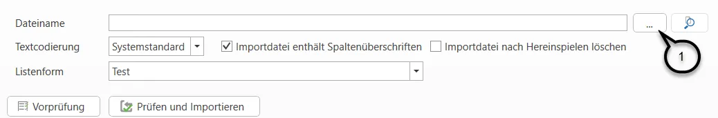 Hereinspielen der Importdatei (Teil 3)